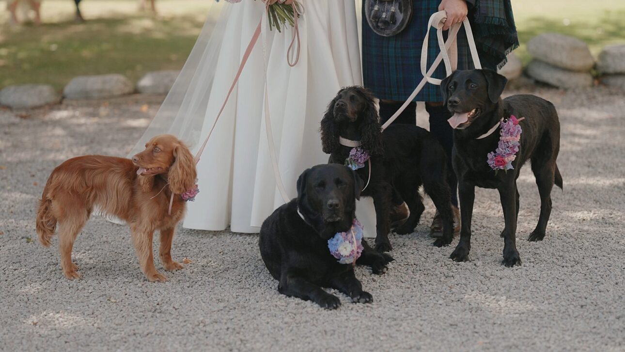 Cluny Castle Wedding Videographer 5